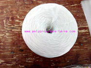 Raw White Polypropylene Twine Packing Rope Lt021 Diameter 1mm - 6mm
