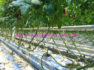 1650ft/lbs 2500ft/lbs PP Tomato Tying Twine With UV Resistance