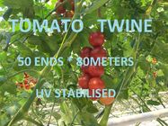 Greenhouse Tomato Tying Twine Colorful Plastic Garden Packing Raffia String
