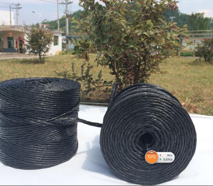 2mm Agriculture UV Treated Hay Baling Twine with ISO Certificate High