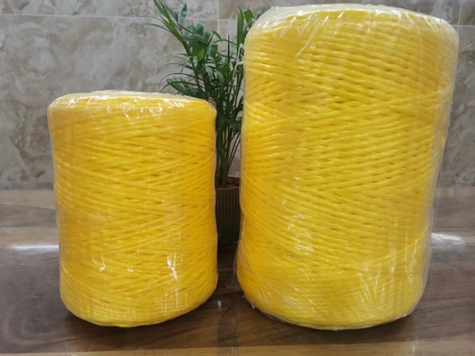 Tanzania Hotsale 2mm Pp Baler Twine 250g 500g 1000g 2000g Yellow Color