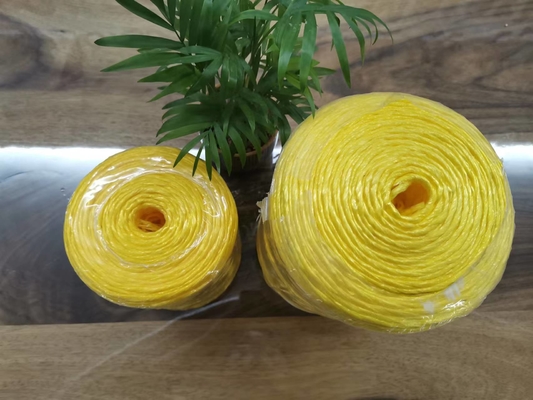 Tanzania Hotsale 2mm Pp Baler Twine 250g 500g 1000g 2000g Yellow Color