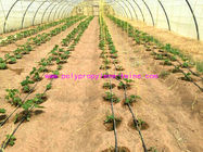 1g/m Stable Agricultural Tomato Tying Twine High Tenacity Different Colored