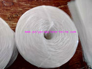 Agriculture PP Packing Baler Twine Raw White Red Blue Hay Baling Twine