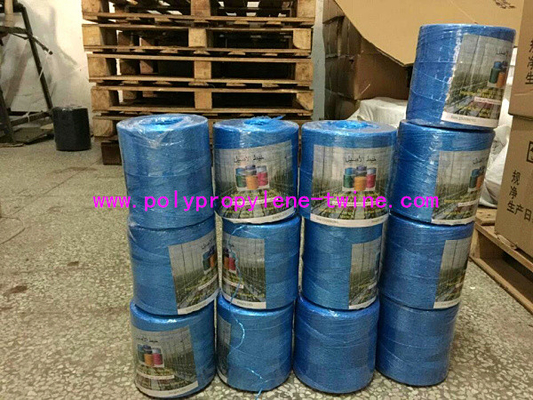 UV Treated Polypropylene Tomato Tying Twine For Greenhouse Cucumber