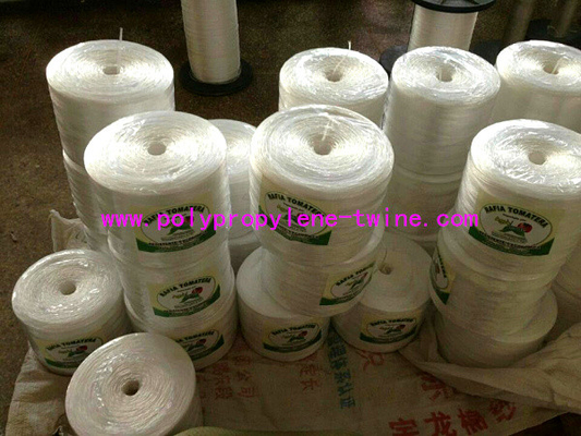 High Strength Polypropylene Tomato Twine For Agricultural Baler 2mm / 3mm