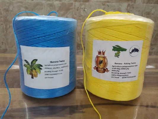 2000m/Roll 4kg Dia 2mm High Uv Stabilization Banana Twine Fruit Supporting