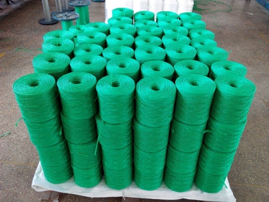 High Strength Polypropylene Tomato Twine For 2mm / 3mm With UV Resistance