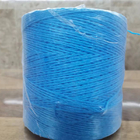 Heavy Duty Blue Rafia Tomato Tying Garden Poly Twine 6,300 ft 3LB for Tying up your tomatoes