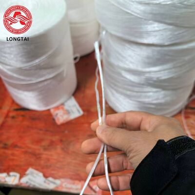 UV Stabilized PP Agriculture Trellis Twine with High Tensile Strength for Tomato and Cucumber Climbing Support
