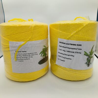UV Resistant Twisted PP tear film banana twine