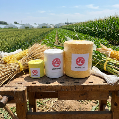 Recyclable Fibrillated PP Twine For Agricultural Plant Tying
