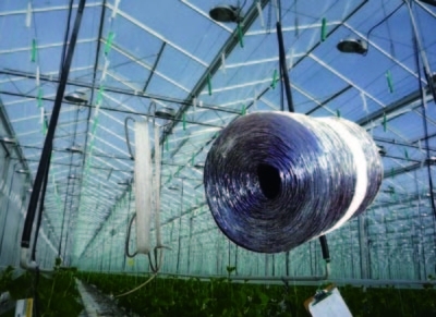 1650ft/lbs 2500ft/lbs PP Tomato Tying Twine With UV Resistance