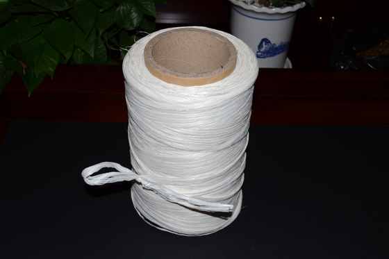 Fibrillated Twisted 100% PP Filler Yarn Polypropylene Filler Cord