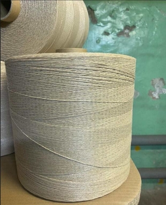 2 Ply Sausage loop Twine 4600dtex Beige White Twisted Polypropylene Thread