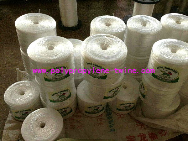 UV Treated Polypropylene Raffia Packing Twine 1000m/Kg 1500m/Kg Twisted