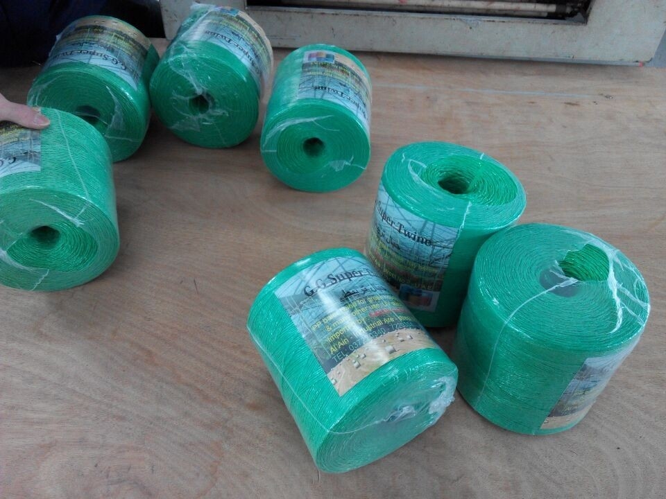 Longtai Fruit Tomato Twine Twine With UV Stabilisation White Blue Green Color