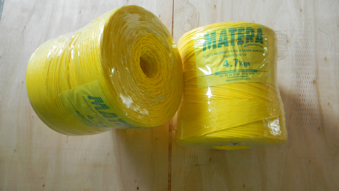 ISO Certificate Packing Agriculture Rope Banana Baler Twine High Breaking Strength