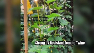 UV Resistant Tomato Tying Twine for Strong Plant Support