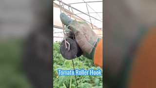 Tomato Roller Hook