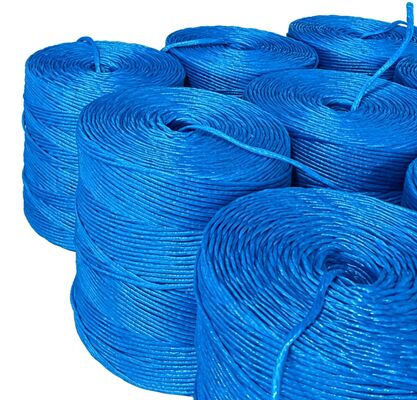 UV Resistant High Tensile Strength PP Baler Twine with Customizable Length for Secure Crop Binding